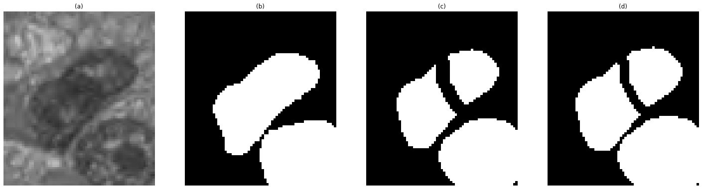 Edge cases for the challenge’s matching rule. (a) Nuclei image (b) Ground truth mask. (c) Border-removed version of a prediction mask showing over-segmentation in the middle of the frame. Both objects have an IoU lower than 0.5 with the correct object mask, leading to two false positives and one false negatives being recorded. (d) Border-dilated version of the same mask. One object now has an IoU larger that 0.5, leading to the recording of one false positive and one false negative, despite the very similar segmentations.