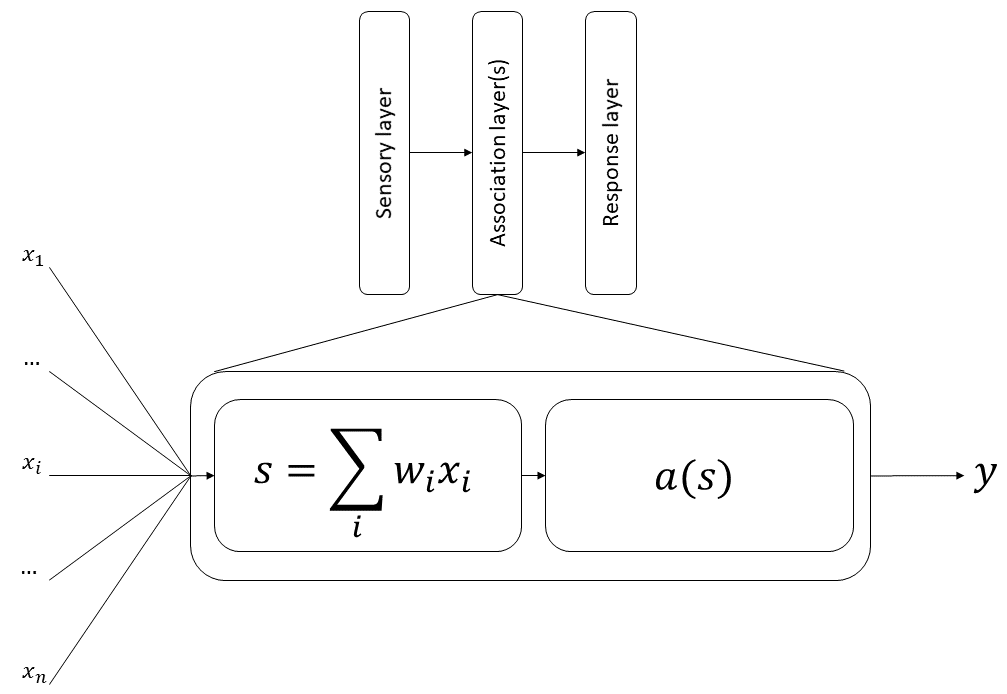 Figure 1.1. Perceptron-like architecture. A sensory layer feeds into association layers, then into a response layer. In the association layers, each neuron performs a weighted sum of its inputs. This sum is then transformed by an activation function. In the original perceptron, the activation function was a step function, and the weights were either +1 (excitatory connection) or -1 (inhibitory connection), but later neural networks would relax these restrictions.