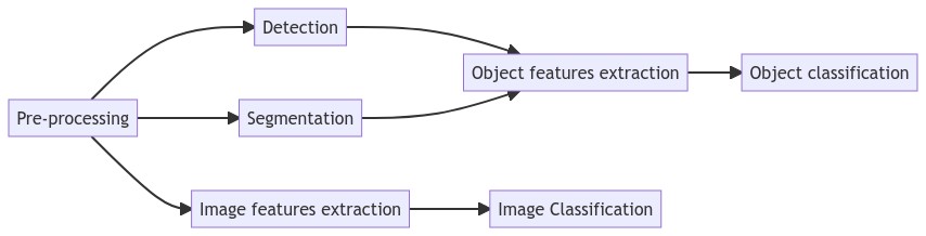 Figure 2.5. Classic image analysis pipelines for classification. These pipelines typically either extract global features from the entire image (for image classification) or have a first step to detect or segment candidate objects from which object-specific features can be extracted for the classification.