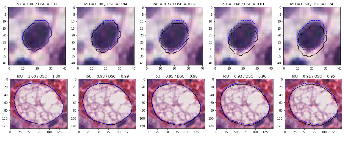 Figure 4.20. Effect on the IoU of shifting the position of the predicted segmentation by steps of one pixel, based on an annotated lymphocyte nucleus of ~300px (top) and macrophage of ~10000px (bottom) from the MoNuSAC 2020 dataset. The dashed blue line corresponds to the true annotation, the black line to the the prediction shifted by increments of 1 pixel. The corresponding HD would be 0, 1, 2, 3 and 4px (or about 0, 0.25, 0.5, 0.75 and 1 µm) in both cases.